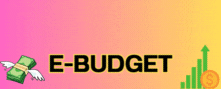 E-BUDGET.gif